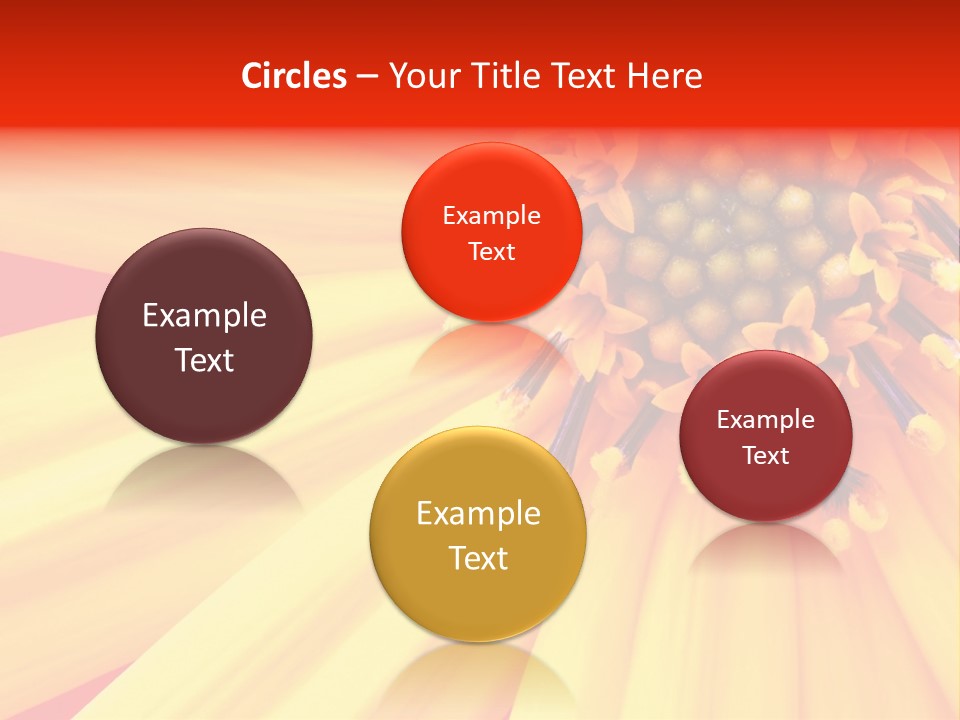 Head Petal Sun PowerPoint Template