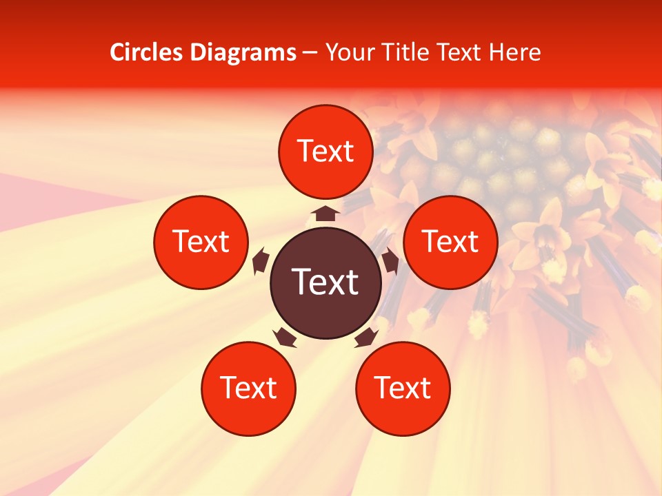 Head Petal Sun PowerPoint Template