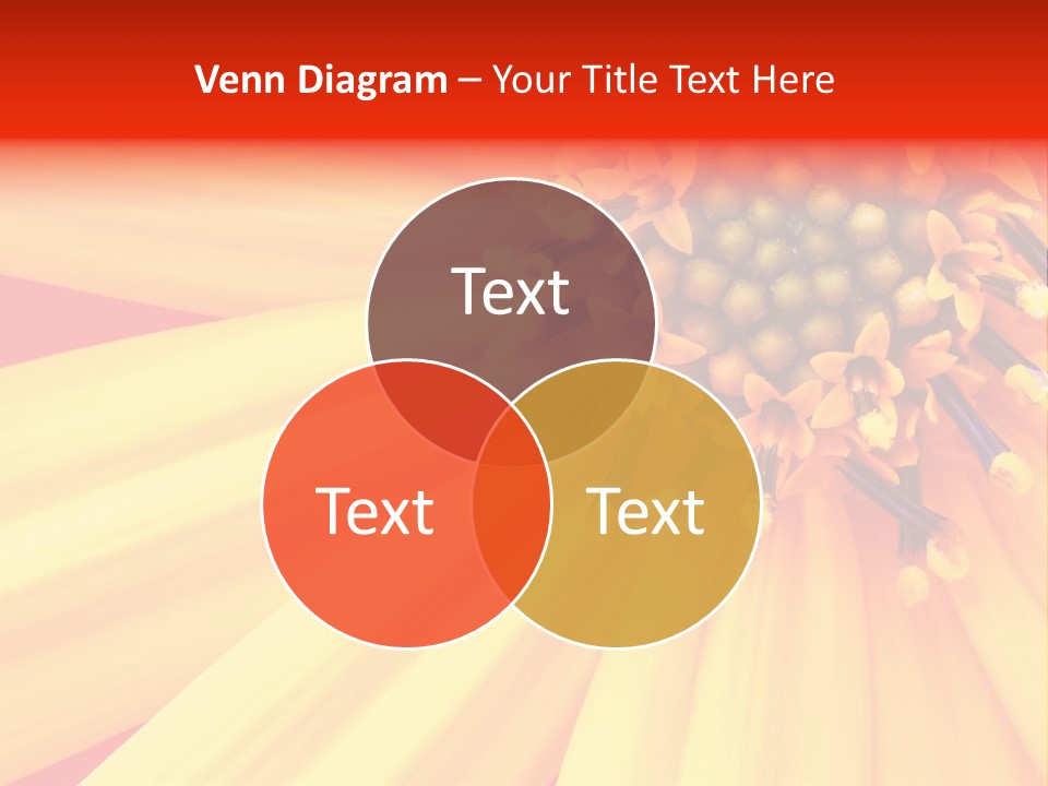 Head Petal Sun PowerPoint Template