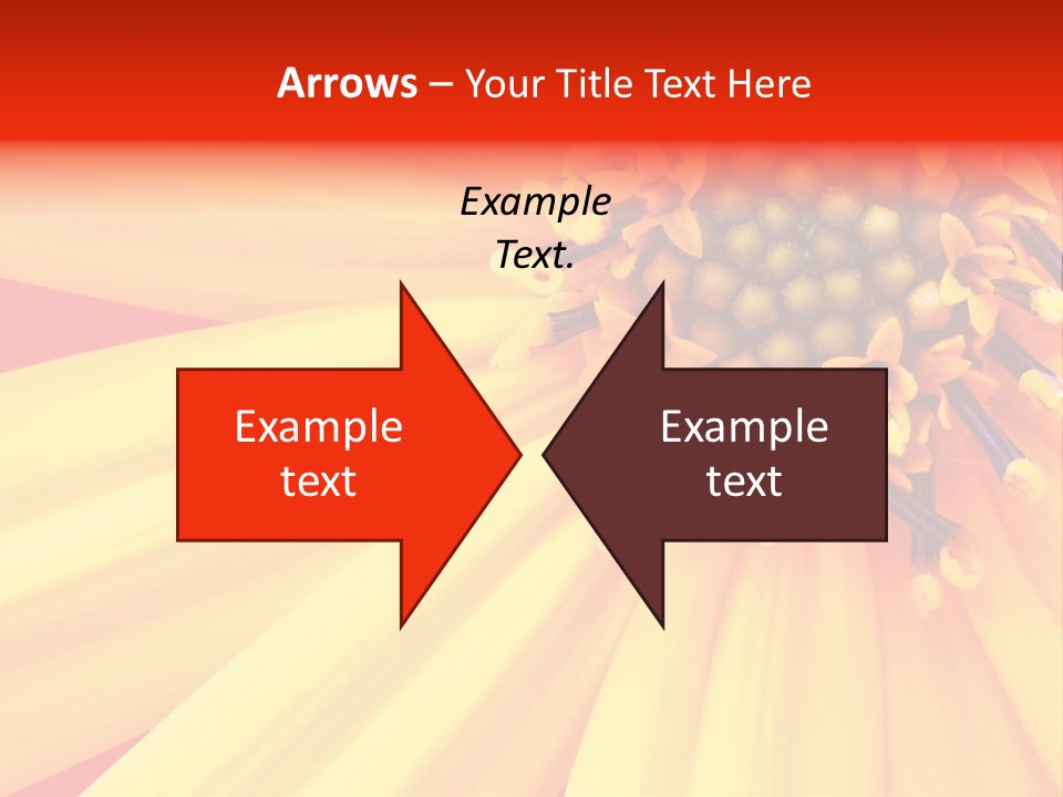 Head Petal Sun PowerPoint Template