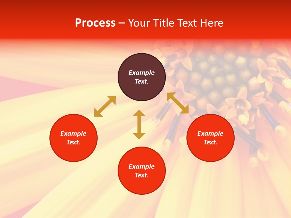 Head Petal Sun PowerPoint Template