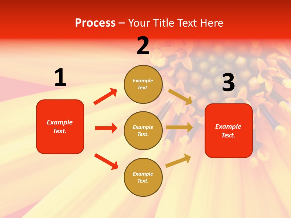 Head Petal Sun PowerPoint Template