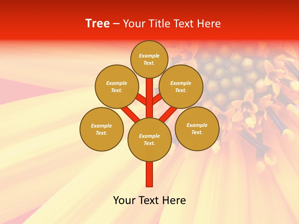 Head Petal Sun PowerPoint Template