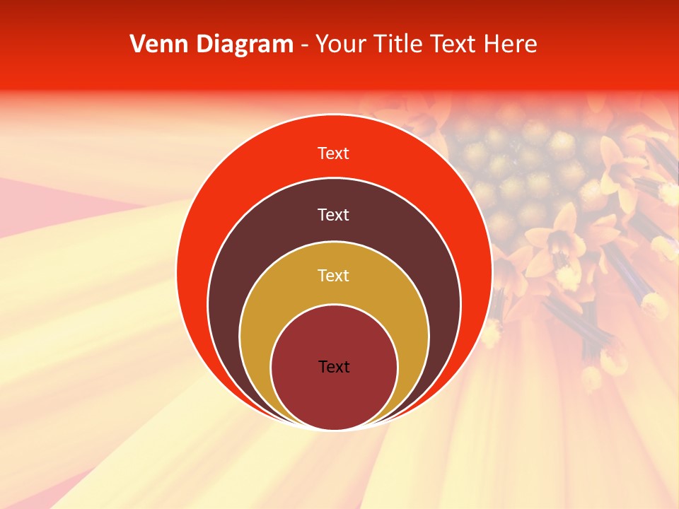 Head Petal Sun PowerPoint Template