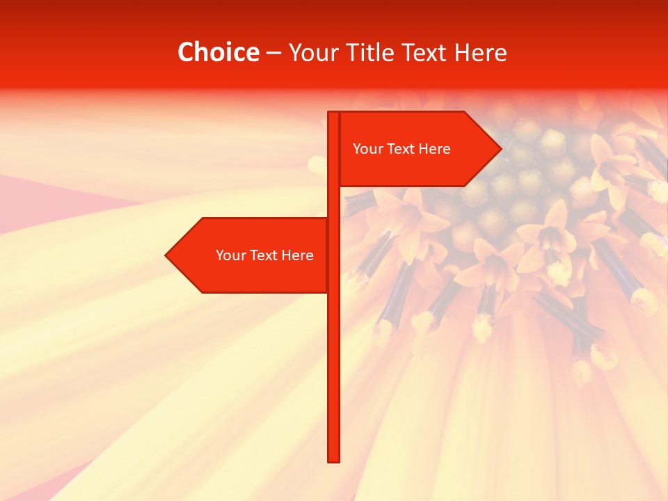 Head Petal Sun PowerPoint Template