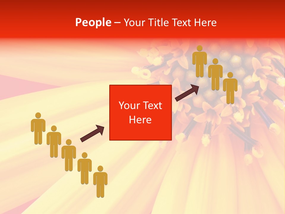 Head Petal Sun PowerPoint Template