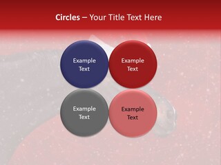 Balls Red Farm PowerPoint Template