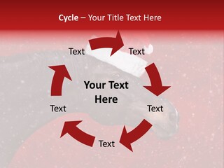 Balls Red Farm PowerPoint Template