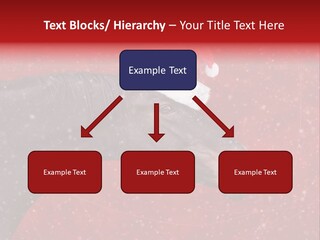 Balls Red Farm PowerPoint Template