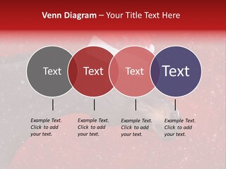 Balls Red Farm PowerPoint Template