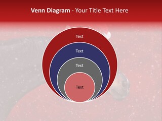 Balls Red Farm PowerPoint Template