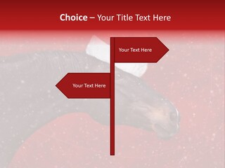 Balls Red Farm PowerPoint Template