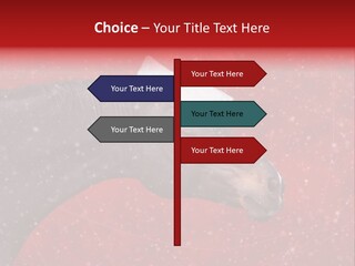 Balls Red Farm PowerPoint Template