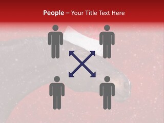 Balls Red Farm PowerPoint Template