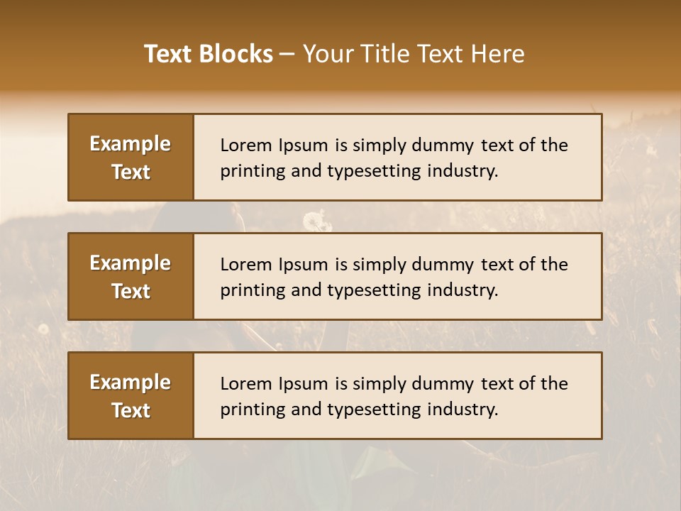 Happy Joy Fun PowerPoint Template