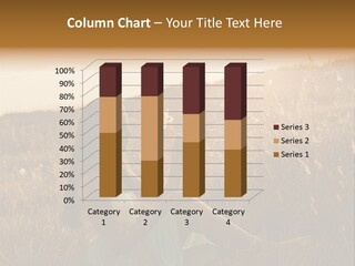 Happy Joy Fun PowerPoint Template