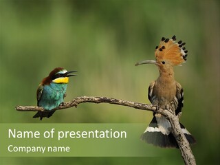Kiskunsagi Breed Papaver PowerPoint Template