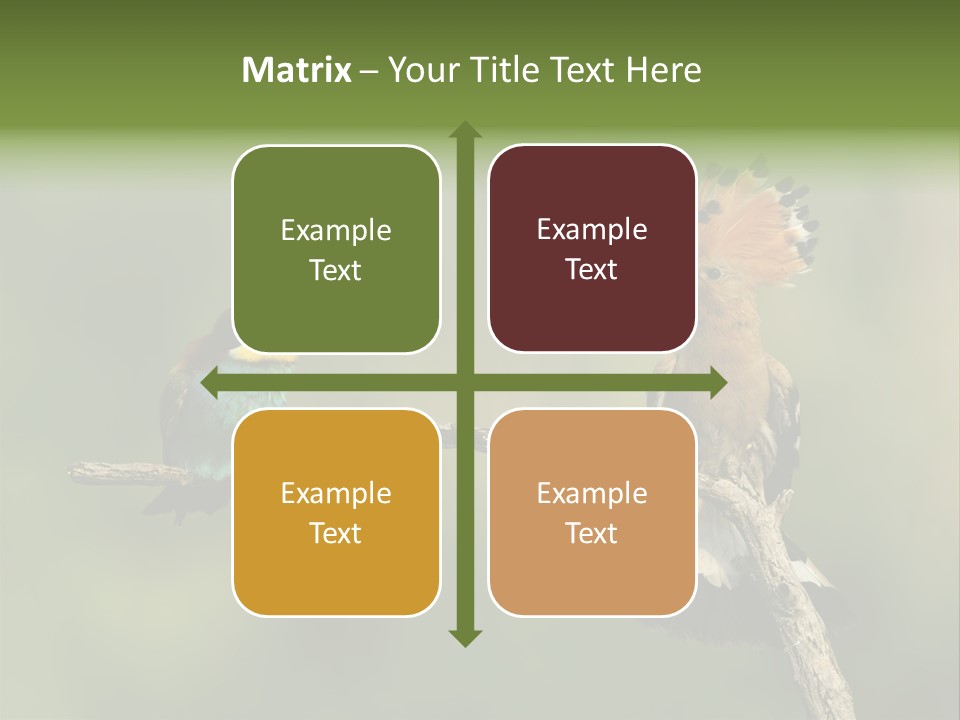 Kiskunsagi Breed Papaver PowerPoint Template