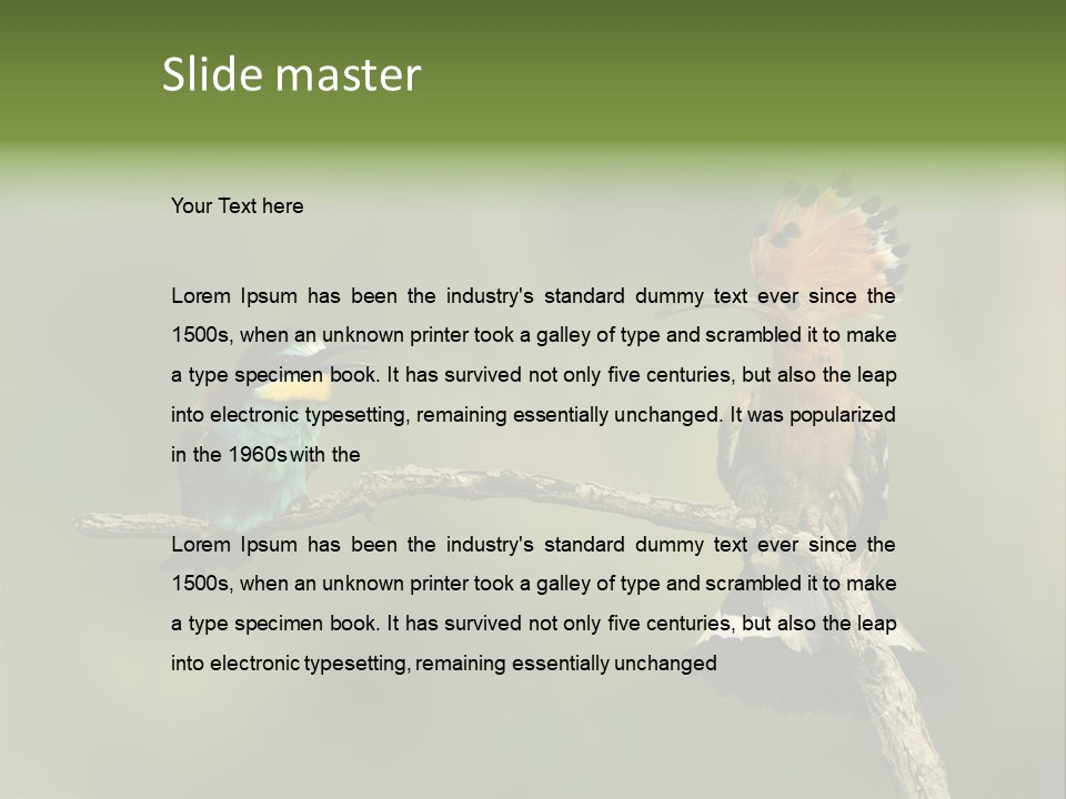 Kiskunsagi Breed Papaver PowerPoint Template