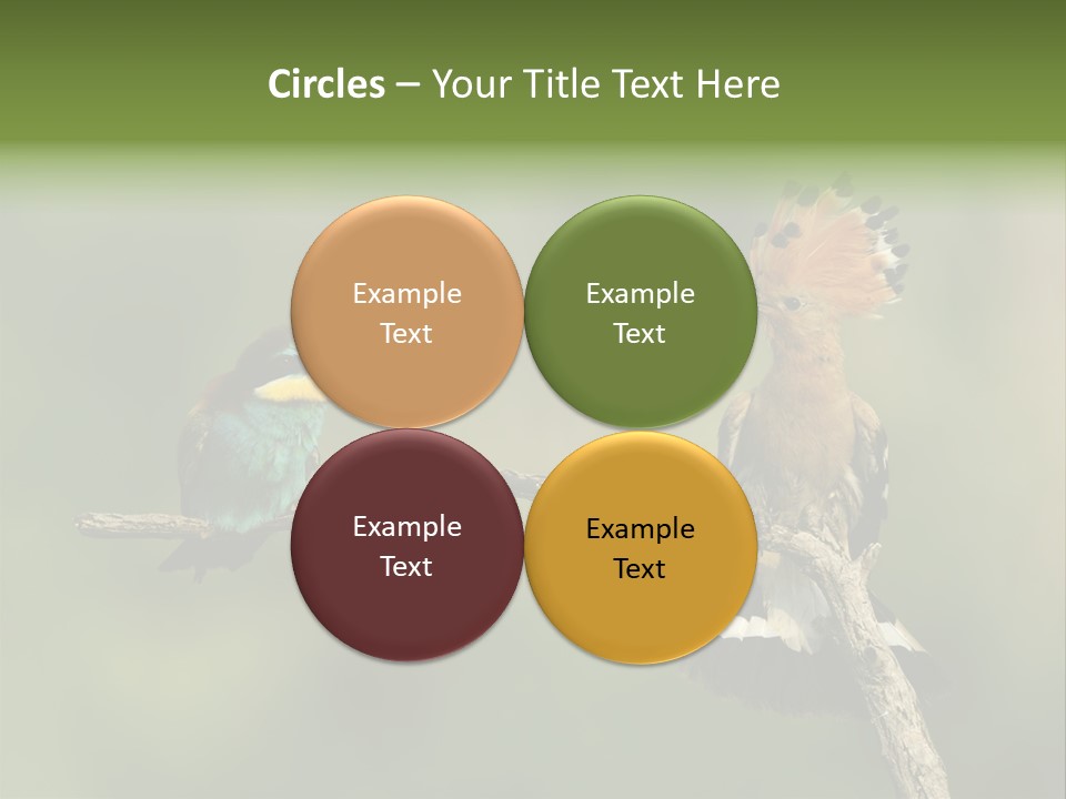 Kiskunsagi Breed Papaver PowerPoint Template