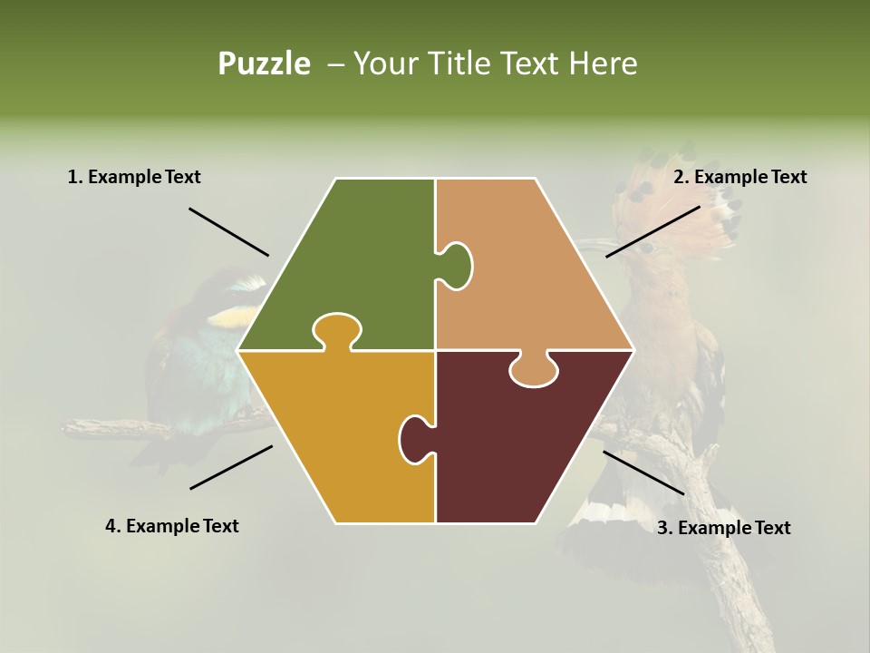 Kiskunsagi Breed Papaver PowerPoint Template