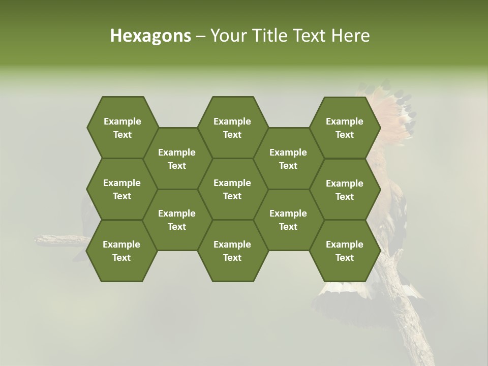 Kiskunsagi Breed Papaver PowerPoint Template