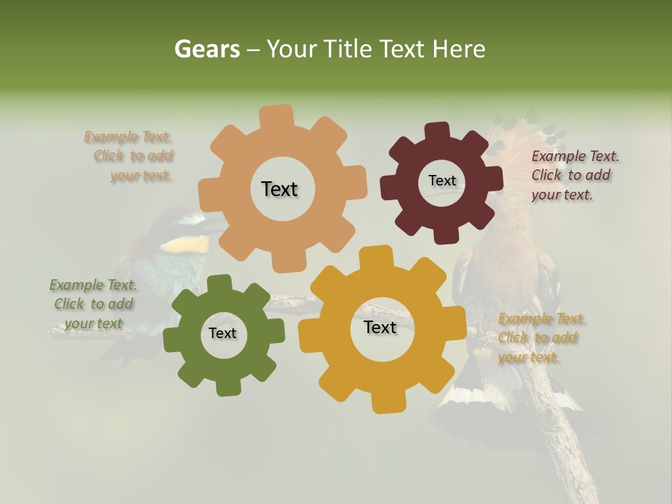 Kiskunsagi Breed Papaver PowerPoint Template