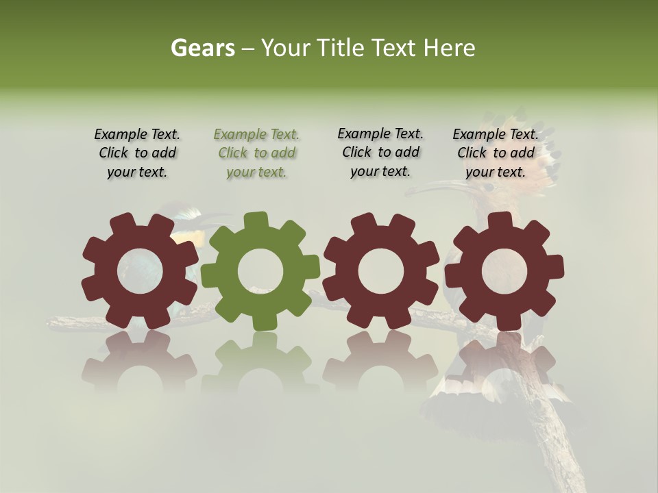 Kiskunsagi Breed Papaver PowerPoint Template