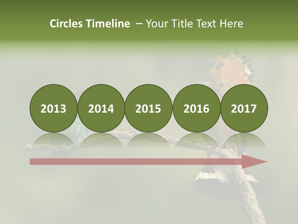 Kiskunsagi Breed Papaver PowerPoint Template