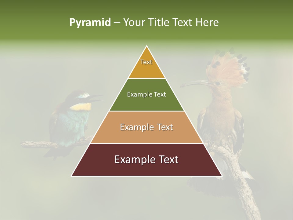 Kiskunsagi Breed Papaver PowerPoint Template