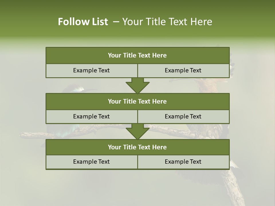 Kiskunsagi Breed Papaver PowerPoint Template