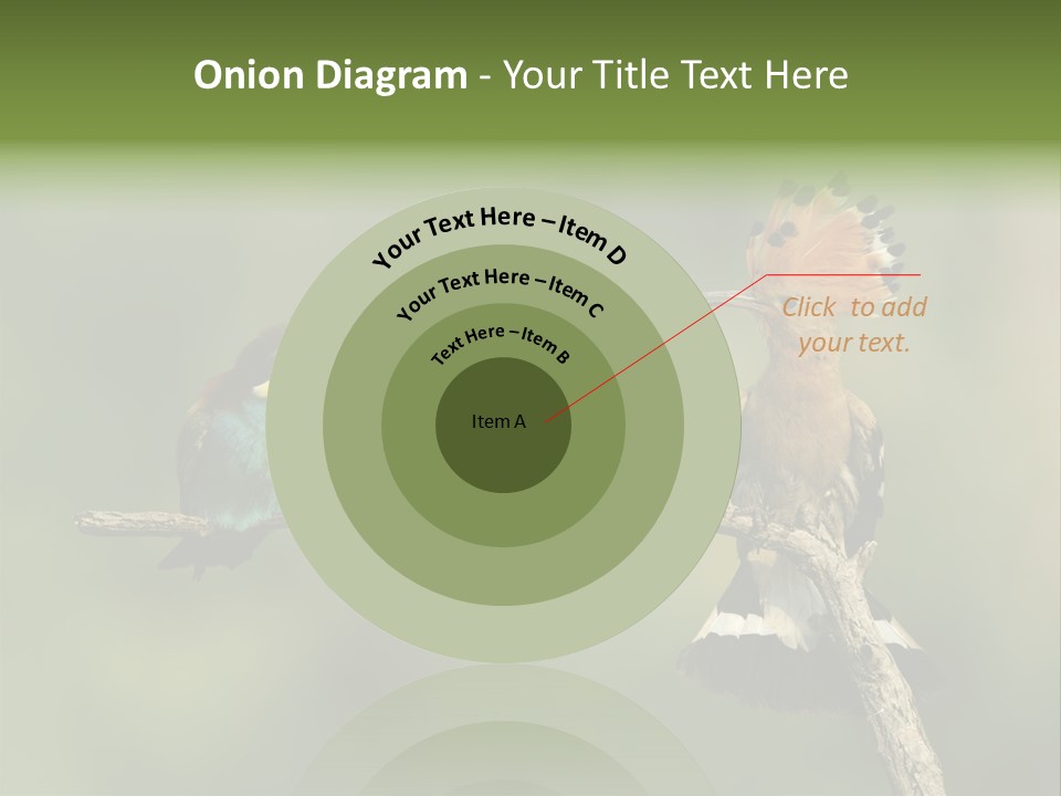 Kiskunsagi Breed Papaver PowerPoint Template