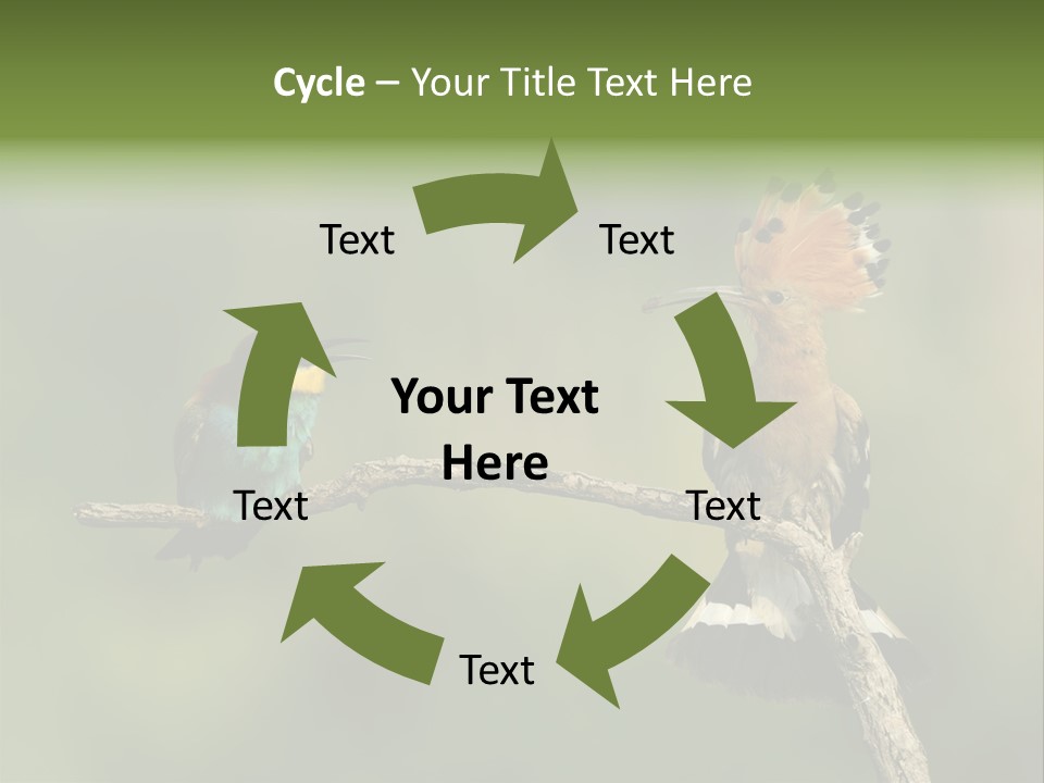 Kiskunsagi Breed Papaver PowerPoint Template