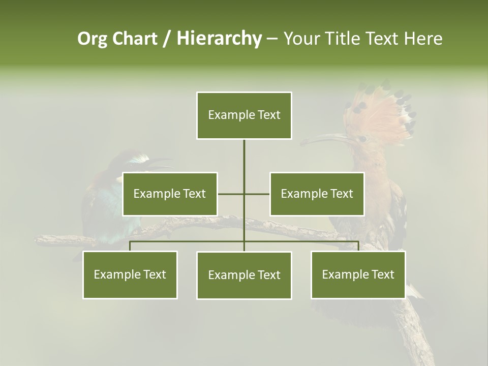 Kiskunsagi Breed Papaver PowerPoint Template