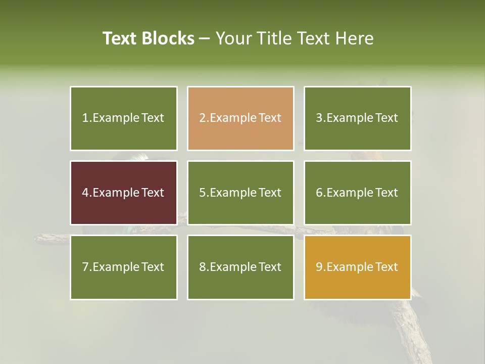 Kiskunsagi Breed Papaver PowerPoint Template