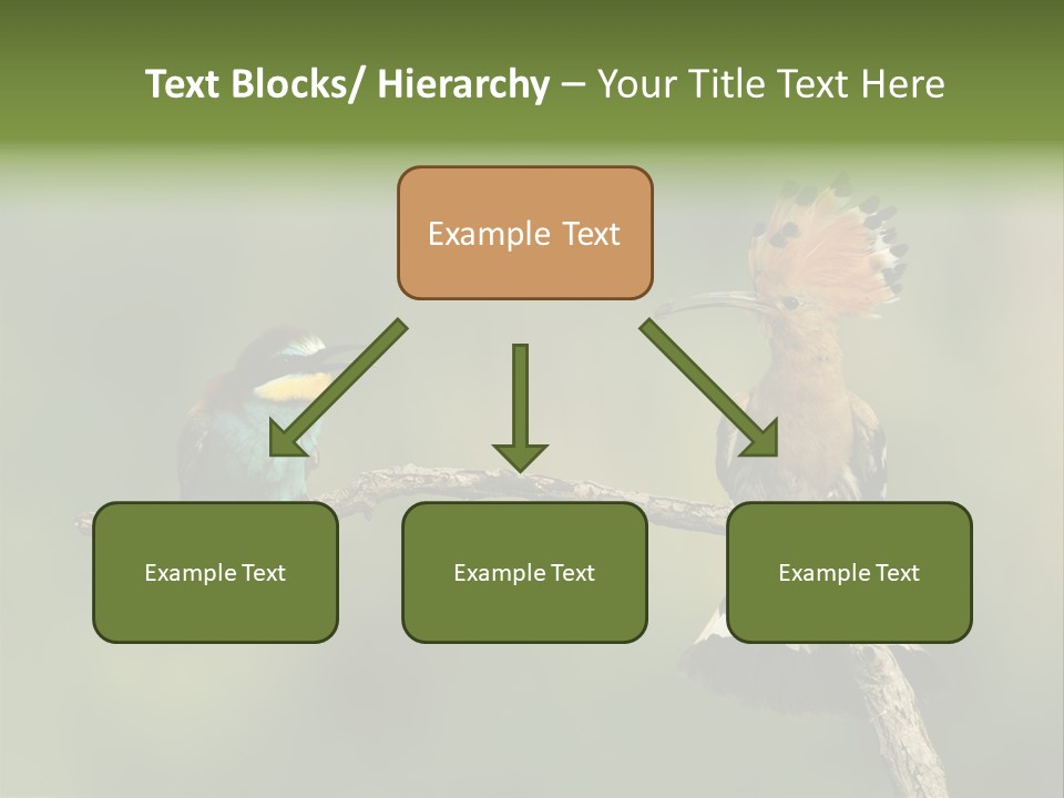 Kiskunsagi Breed Papaver PowerPoint Template