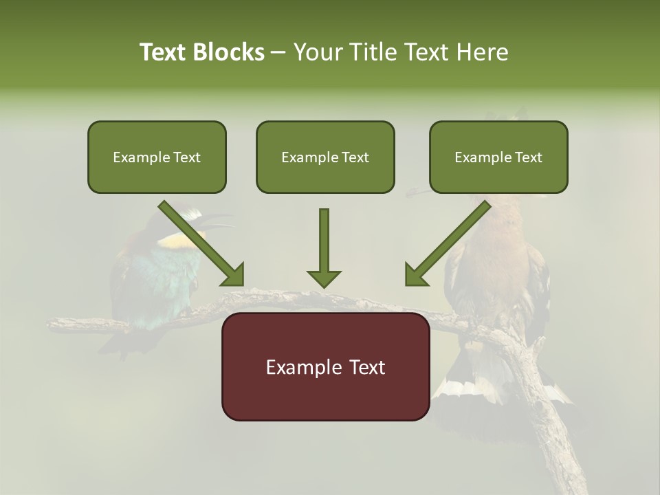 Kiskunsagi Breed Papaver PowerPoint Template
