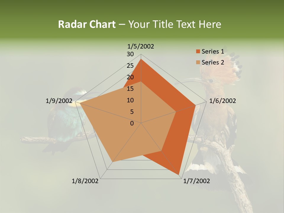 Kiskunsagi Breed Papaver PowerPoint Template