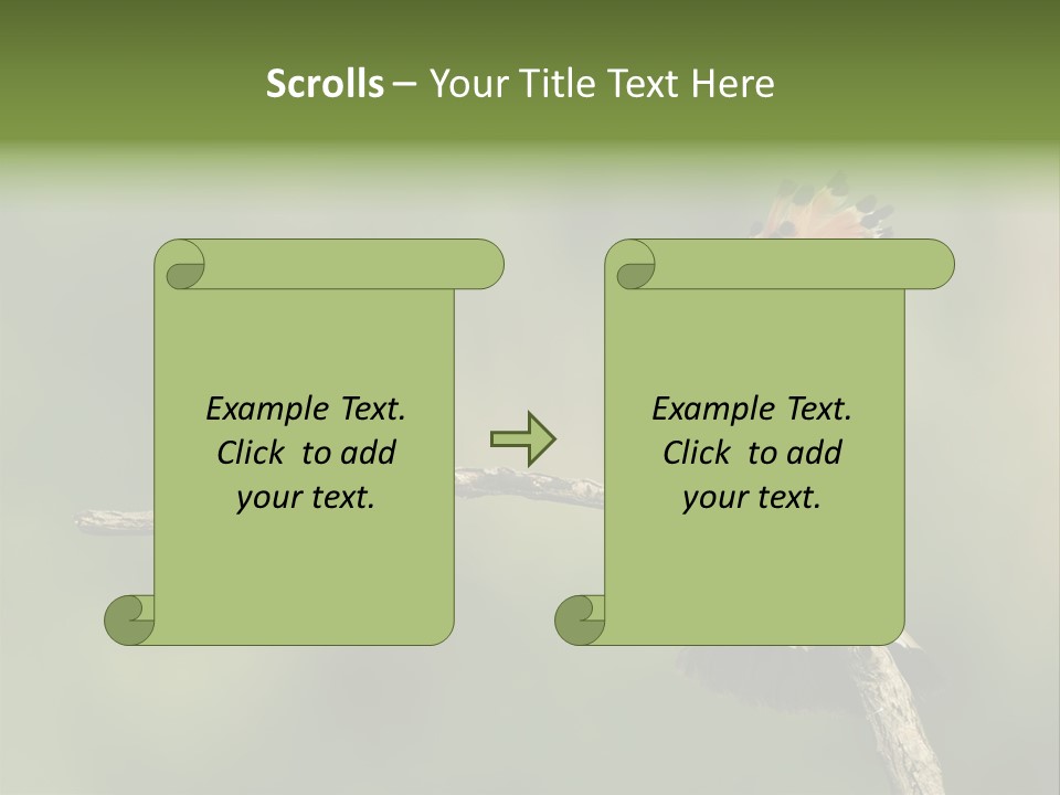 Kiskunsagi Breed Papaver PowerPoint Template