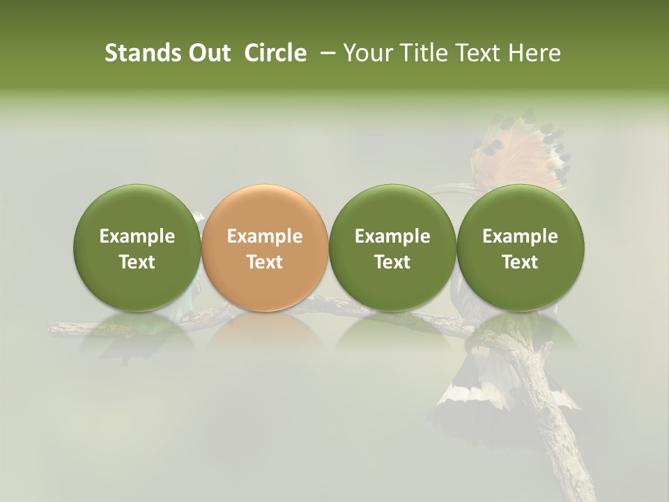 Kiskunsagi Breed Papaver PowerPoint Template