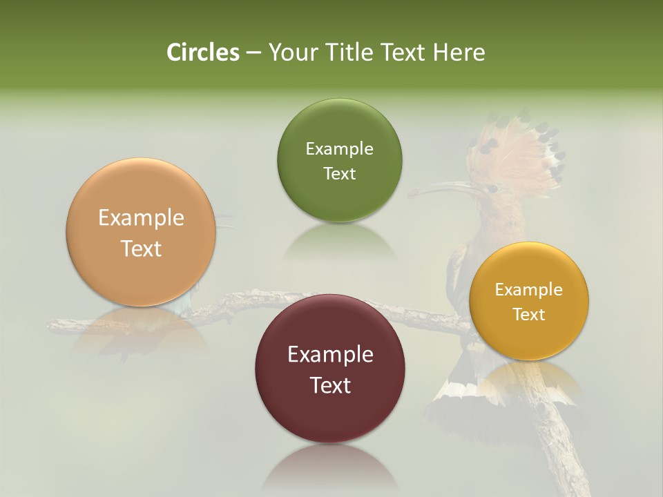 Kiskunsagi Breed Papaver PowerPoint Template