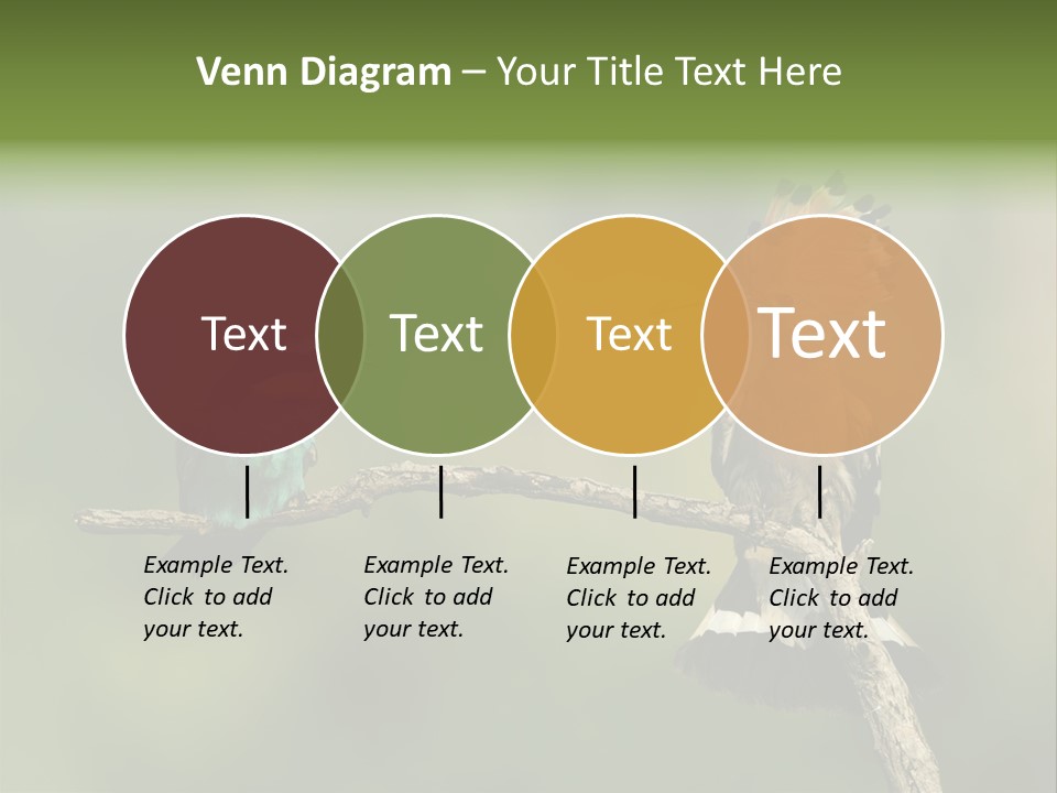 Kiskunsagi Breed Papaver PowerPoint Template