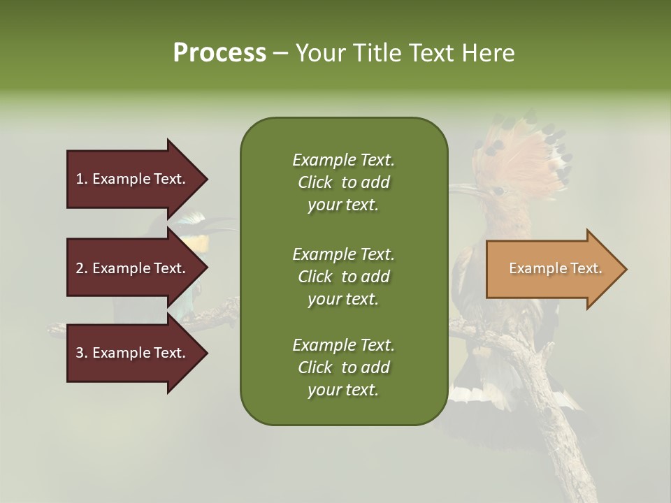 Kiskunsagi Breed Papaver PowerPoint Template