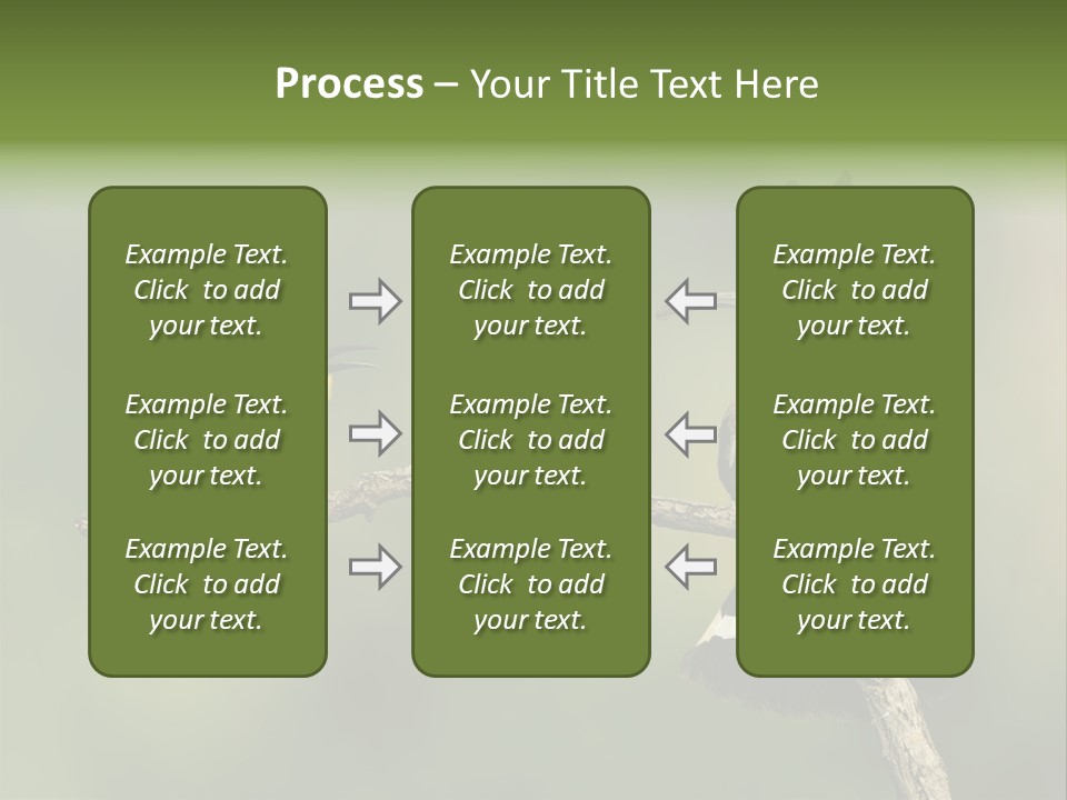 Kiskunsagi Breed Papaver PowerPoint Template