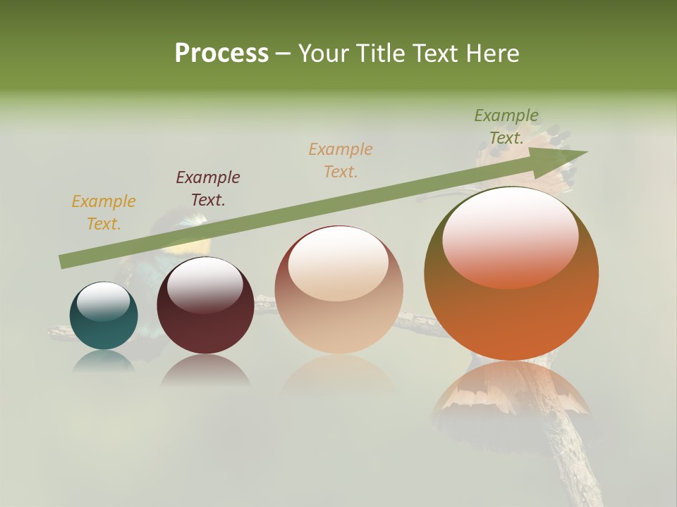 Kiskunsagi Breed Papaver PowerPoint Template