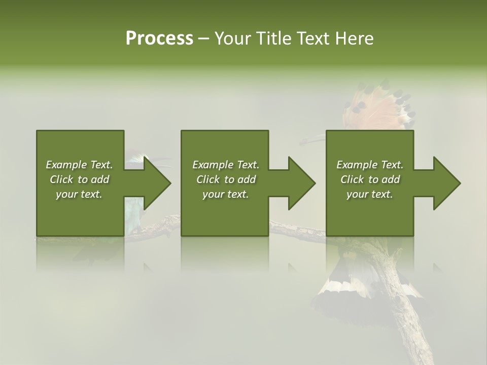 Kiskunsagi Breed Papaver PowerPoint Template