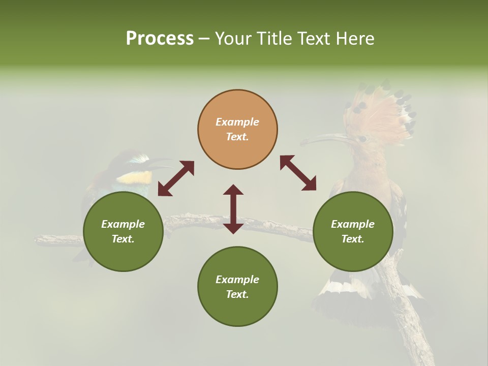 Kiskunsagi Breed Papaver PowerPoint Template