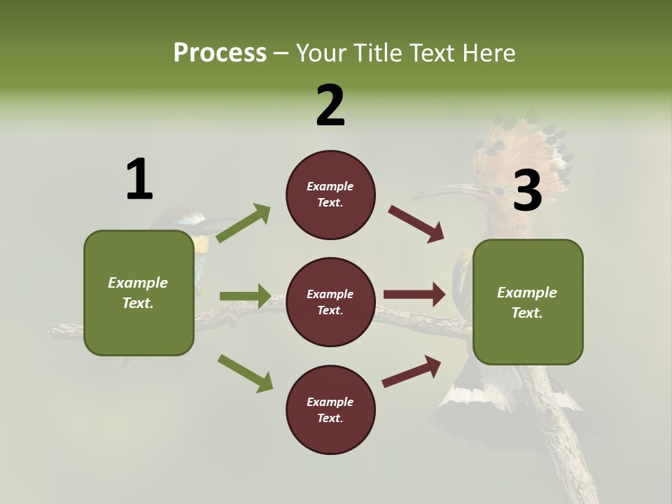 Kiskunsagi Breed Papaver PowerPoint Template