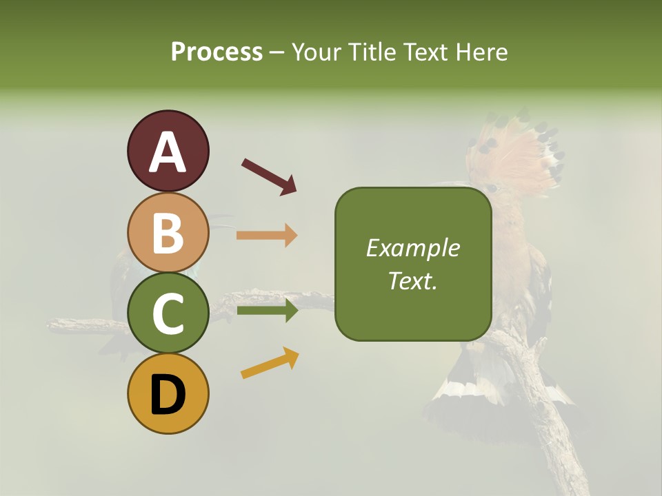 Kiskunsagi Breed Papaver PowerPoint Template