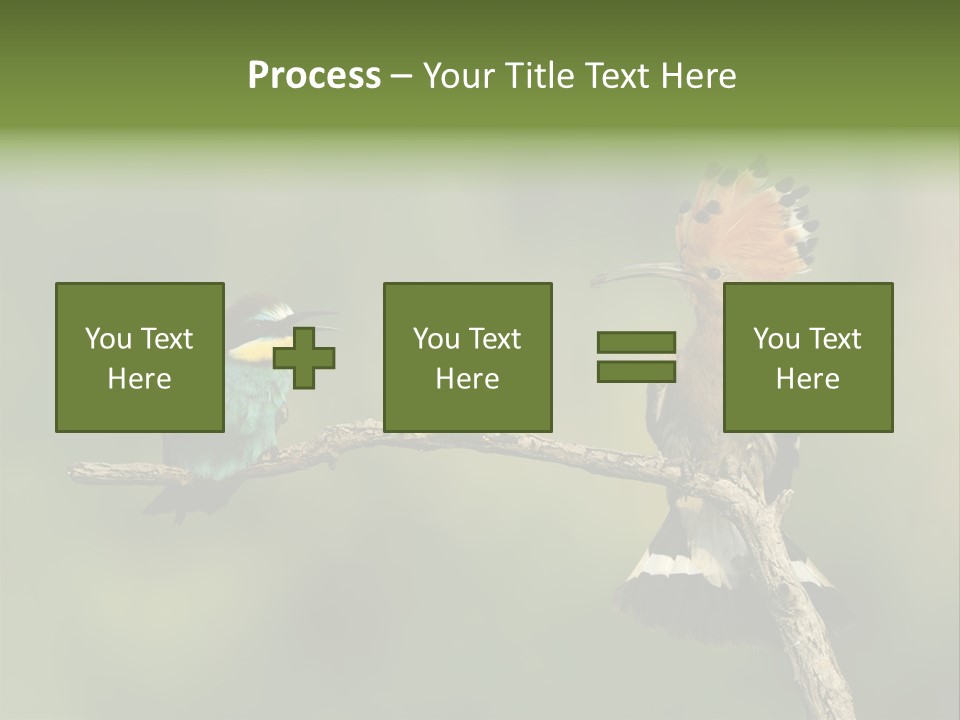 Kiskunsagi Breed Papaver PowerPoint Template